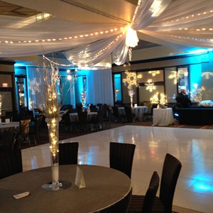 DesignLight winter wedding fabric uplighting and lighting gobos
